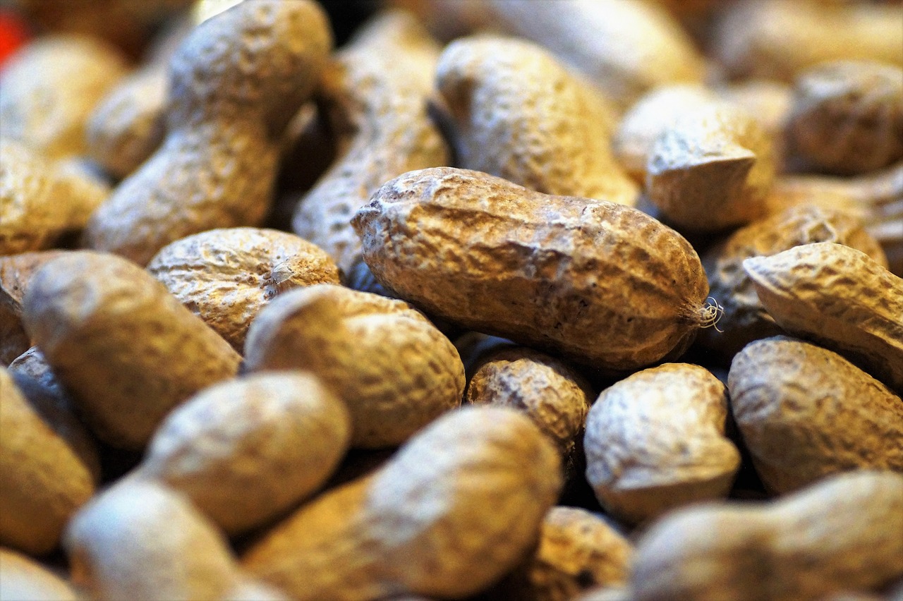 peanuts in husks
