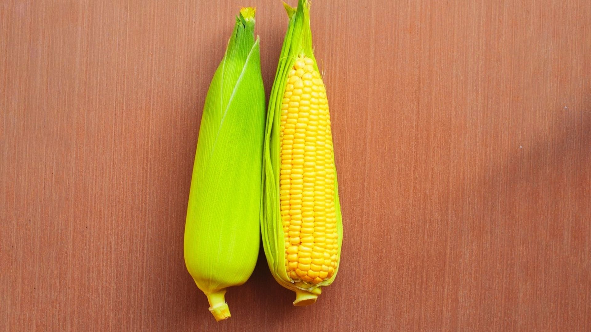 a pair of maize cobs side by side on a wooden surface