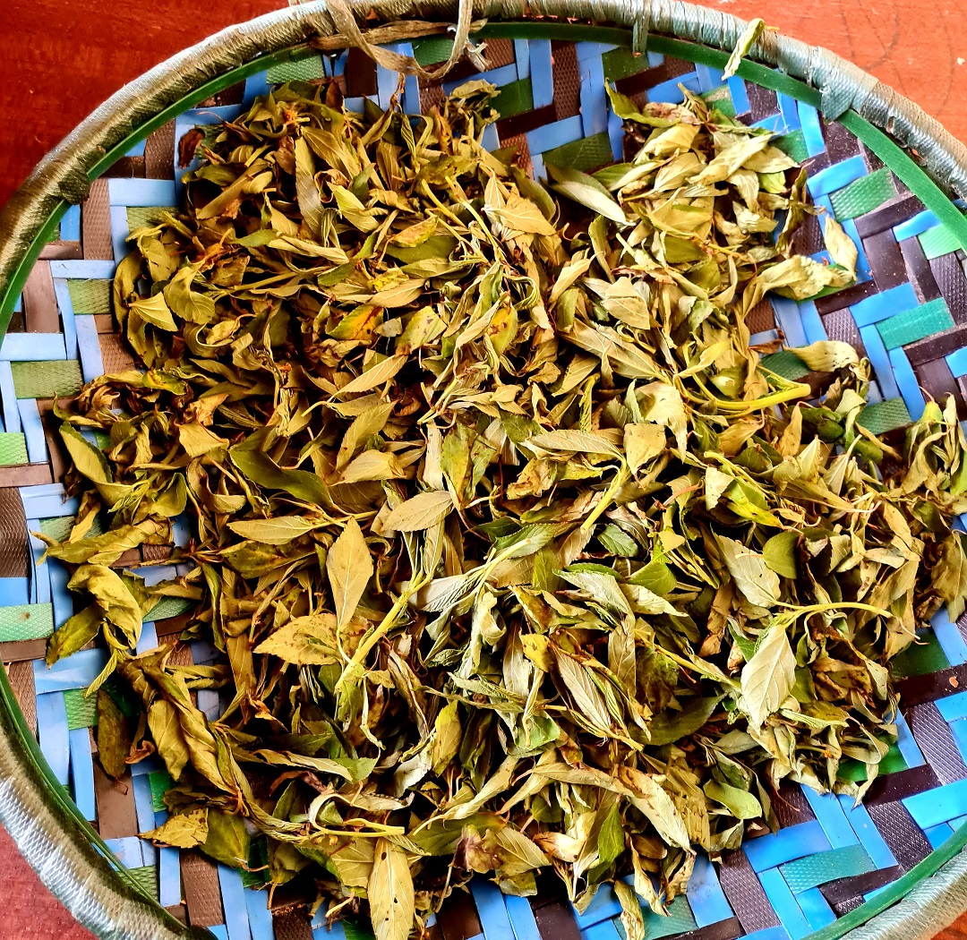 sun dried mrenda on African flat basket