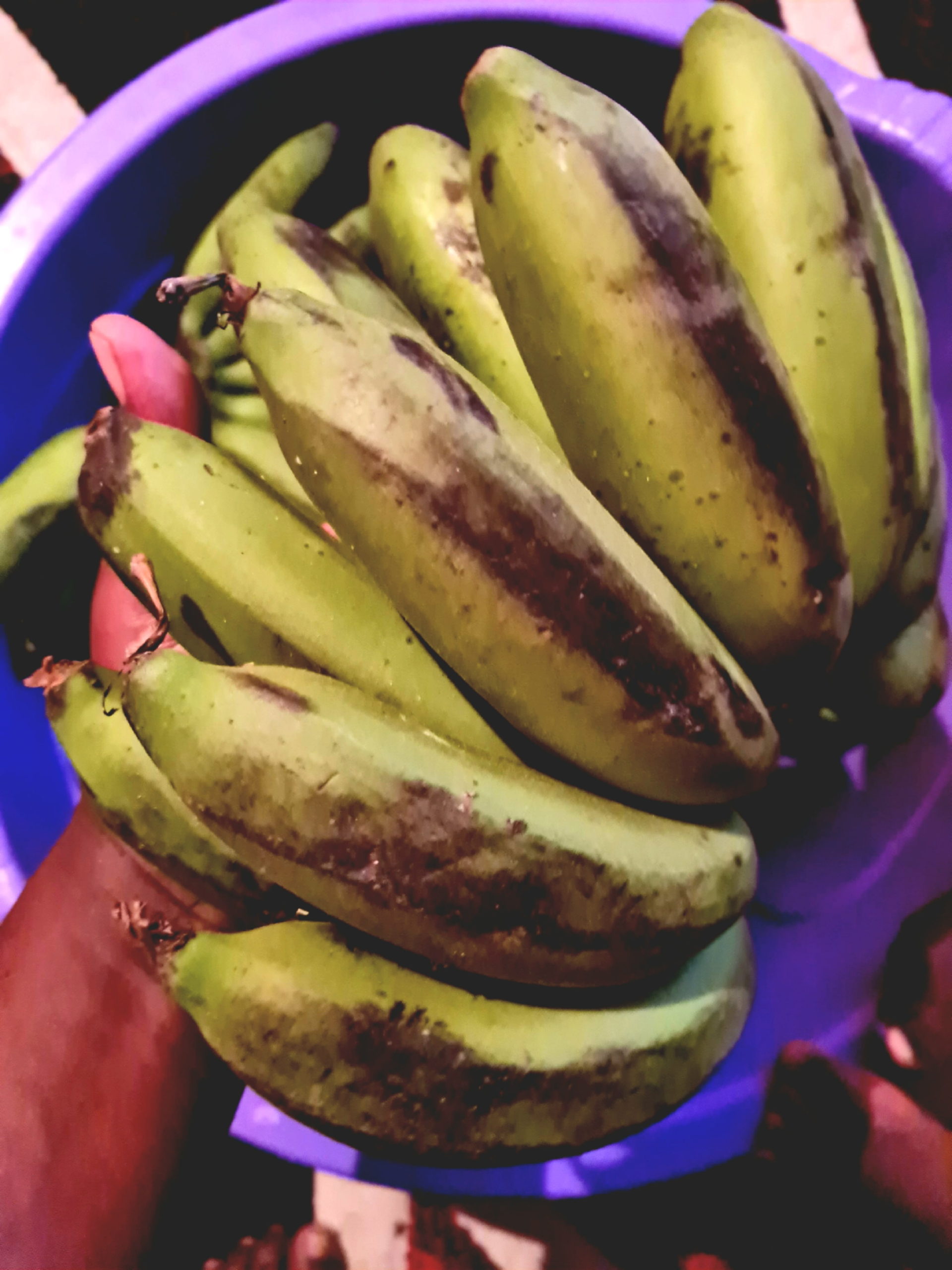 a hand of ligomia l'logooli kisigame, the original traditional banana of the Maragoli Luhya of Kenya