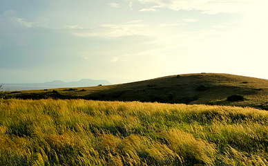 rolling grassland hills of ndere island in the kenyan portion of lake victoria which is africa's largest fresh water lake