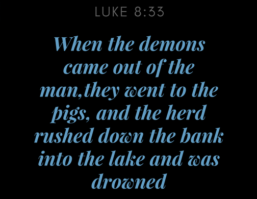 Bible verse Luke 8:33 that is emblematic of the strong message of change in bindu bichenjanga