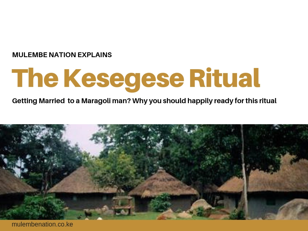 poster image of luhya traditional homestead depicting the Maragoli building and construction traditions of kuvika kesegese