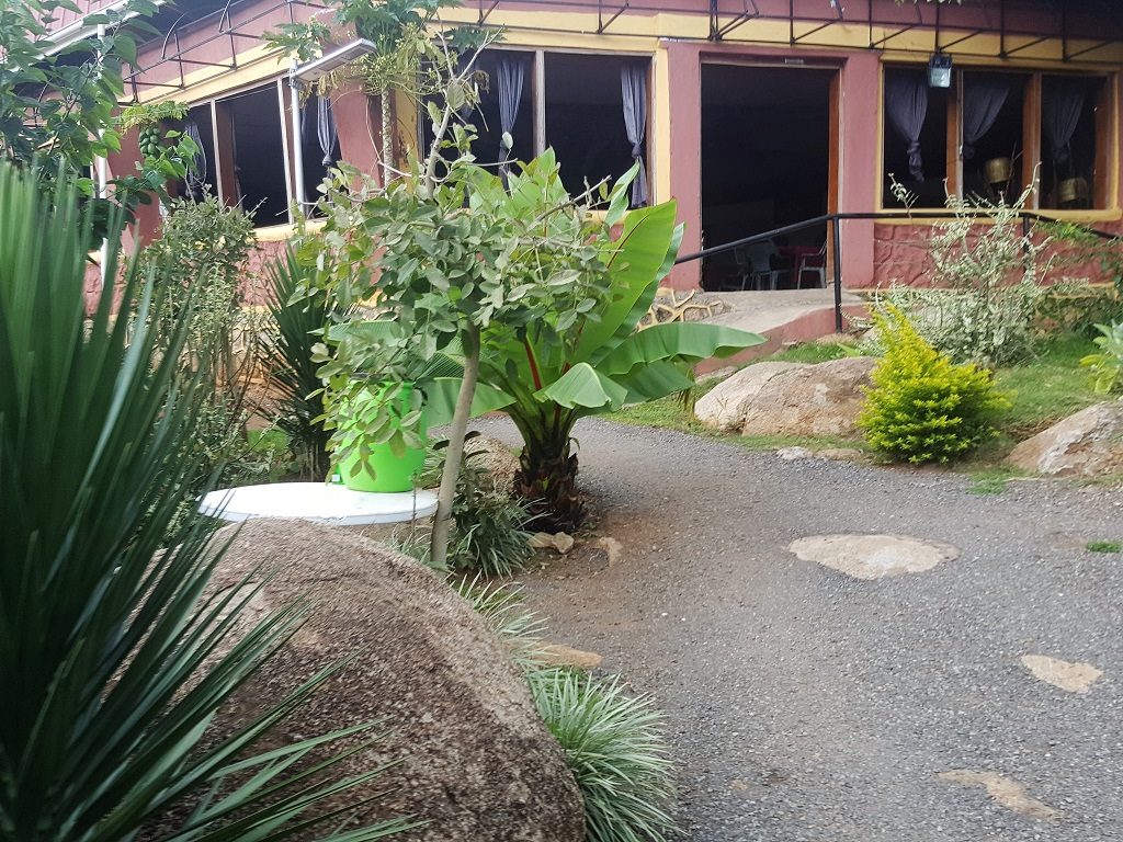 walkways at sarasa cottages and campsite are lined with lots of green and well tended flower beds