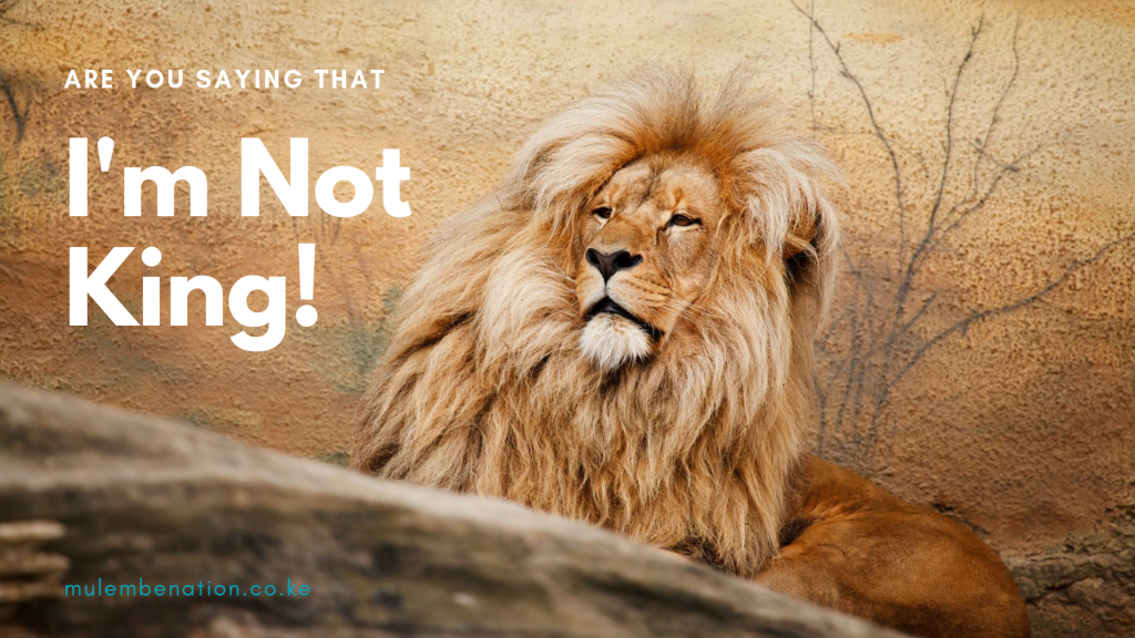 poster image featuring a male lion to contrast the topic : How luhya myths on infidelity castrate patriachy