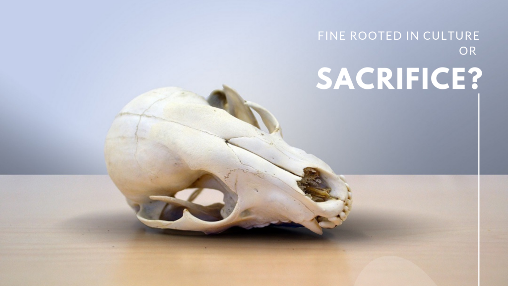 poster featuring animal skull for effect to highlight the sacrifice aspect of silukhi, that demonstrates the role of fine and luhya myths