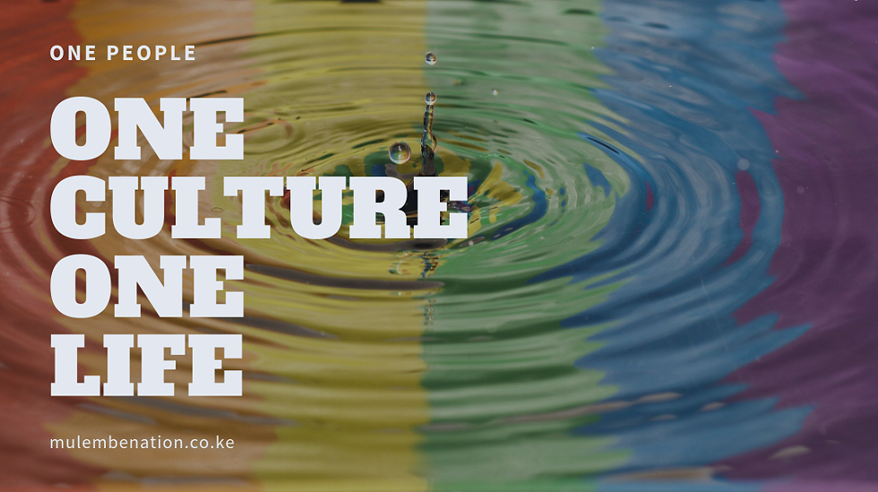 poster featuring universal colours indicating the term 'non luhyas' is being used inclusively rather than exclusively