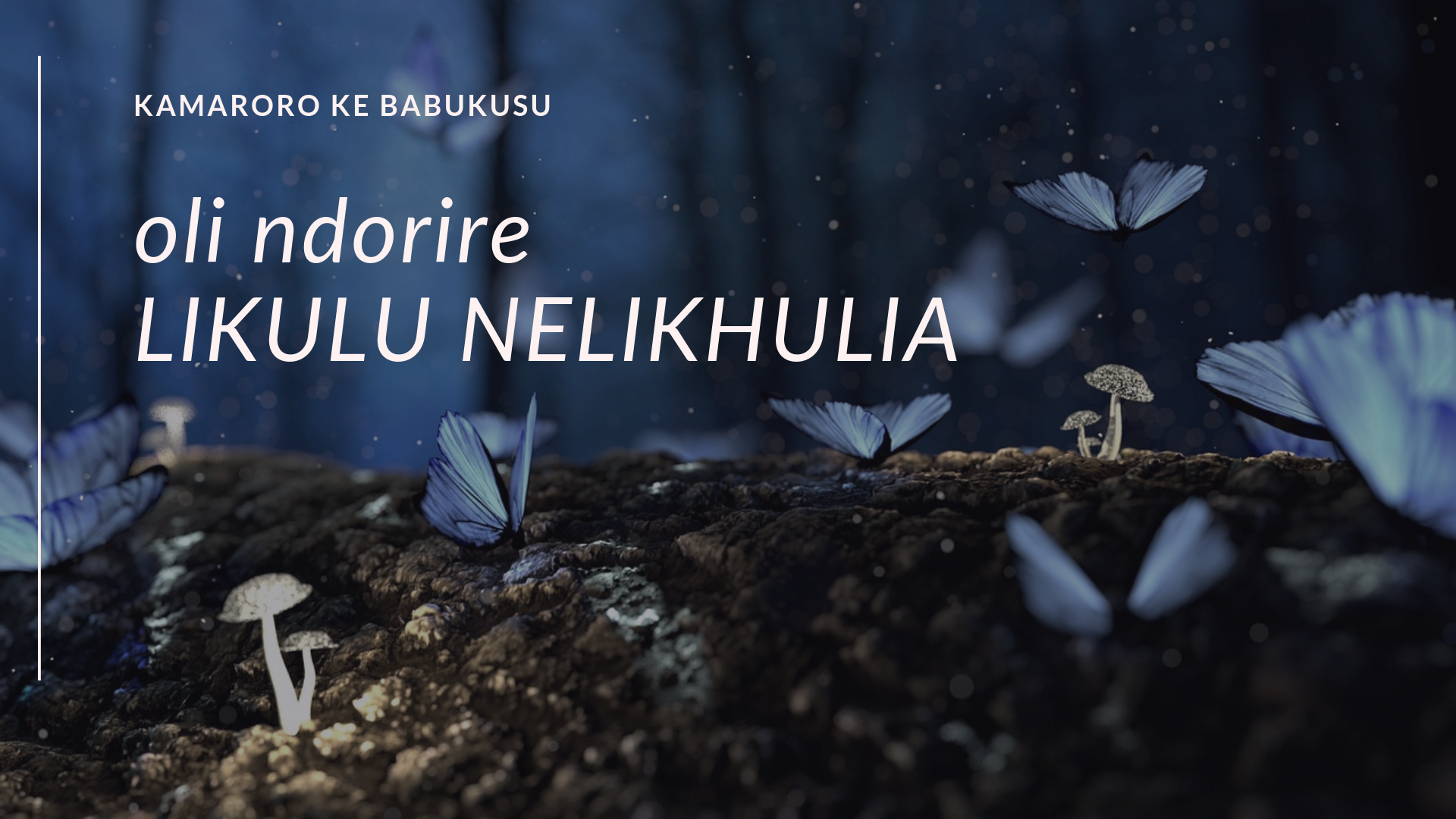 poster of kamaroro ke babukusu featuring image of butterflies