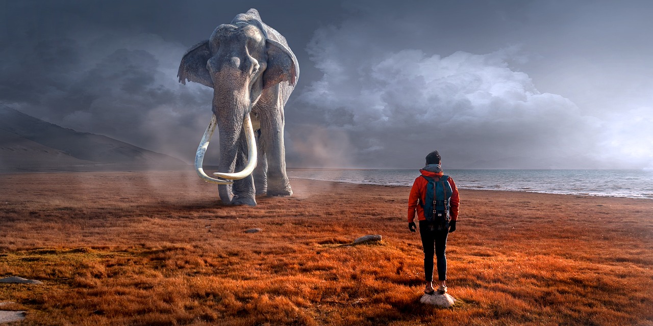 A man faces up to an elephant in what appears to be a fantastical world just as in kamaroro ke sisinini