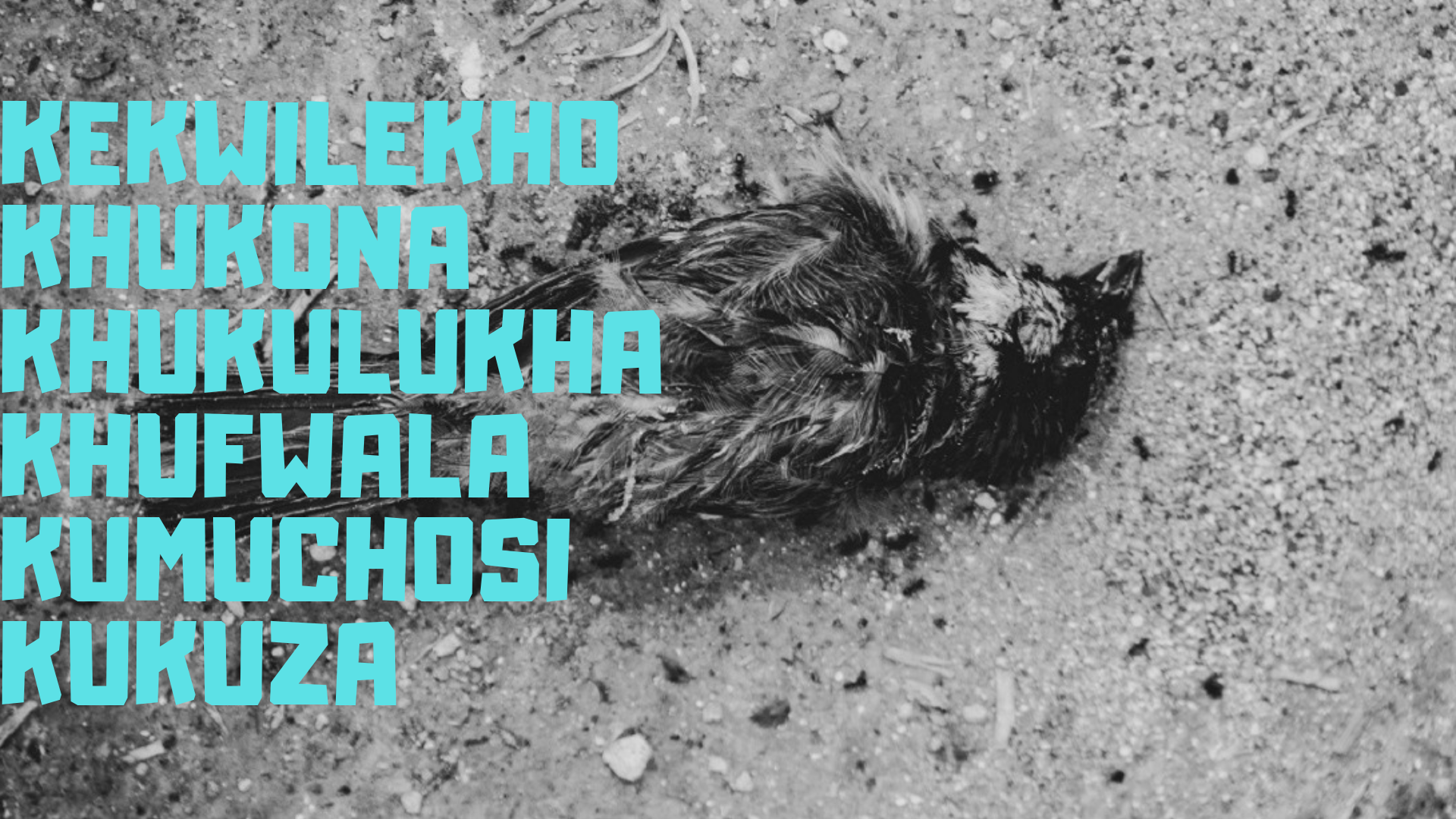 poster with luhya words for the differnt types of death among the luhya