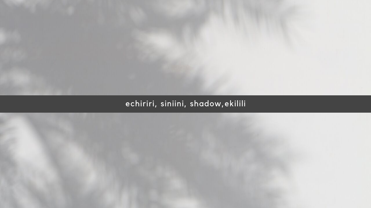 poster with shadow of palm tree as image featuring the words echiriri, siniini, ekilili