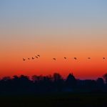 a picture of dawn at sunrise in early morning. How do you say the time of day in Bukusu