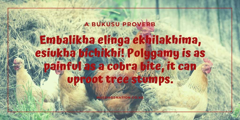 poster A Bukusu proverb: embalikha elinga ekhilakhima, esiukha bichikhi!