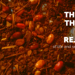 poster: 'the bean that the cook rejected'; with image of poor grade beans like those often thrown mu chandangu