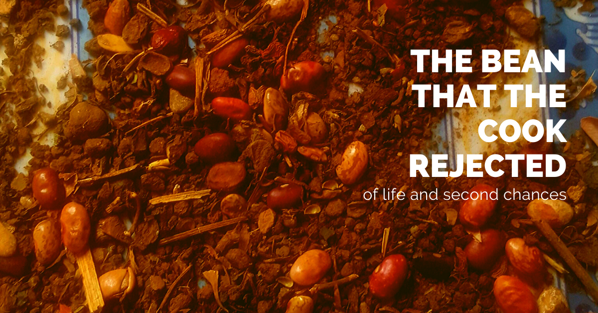 poster: 'the bean that the cook rejected'; with image of poor grade beans like those often thrown mu chandangu