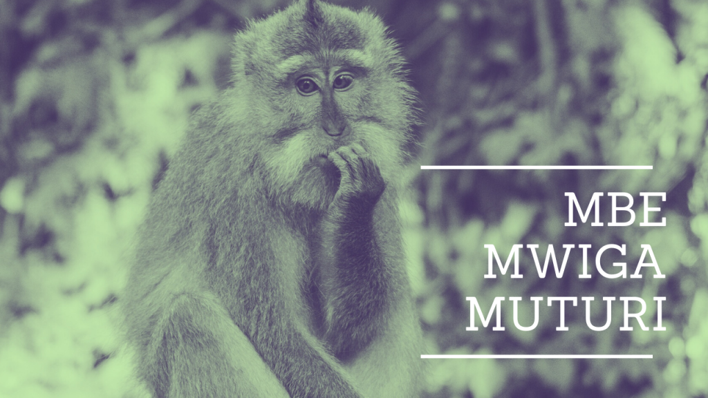 poster featuring image of monkey titled mbe mwiga muturi