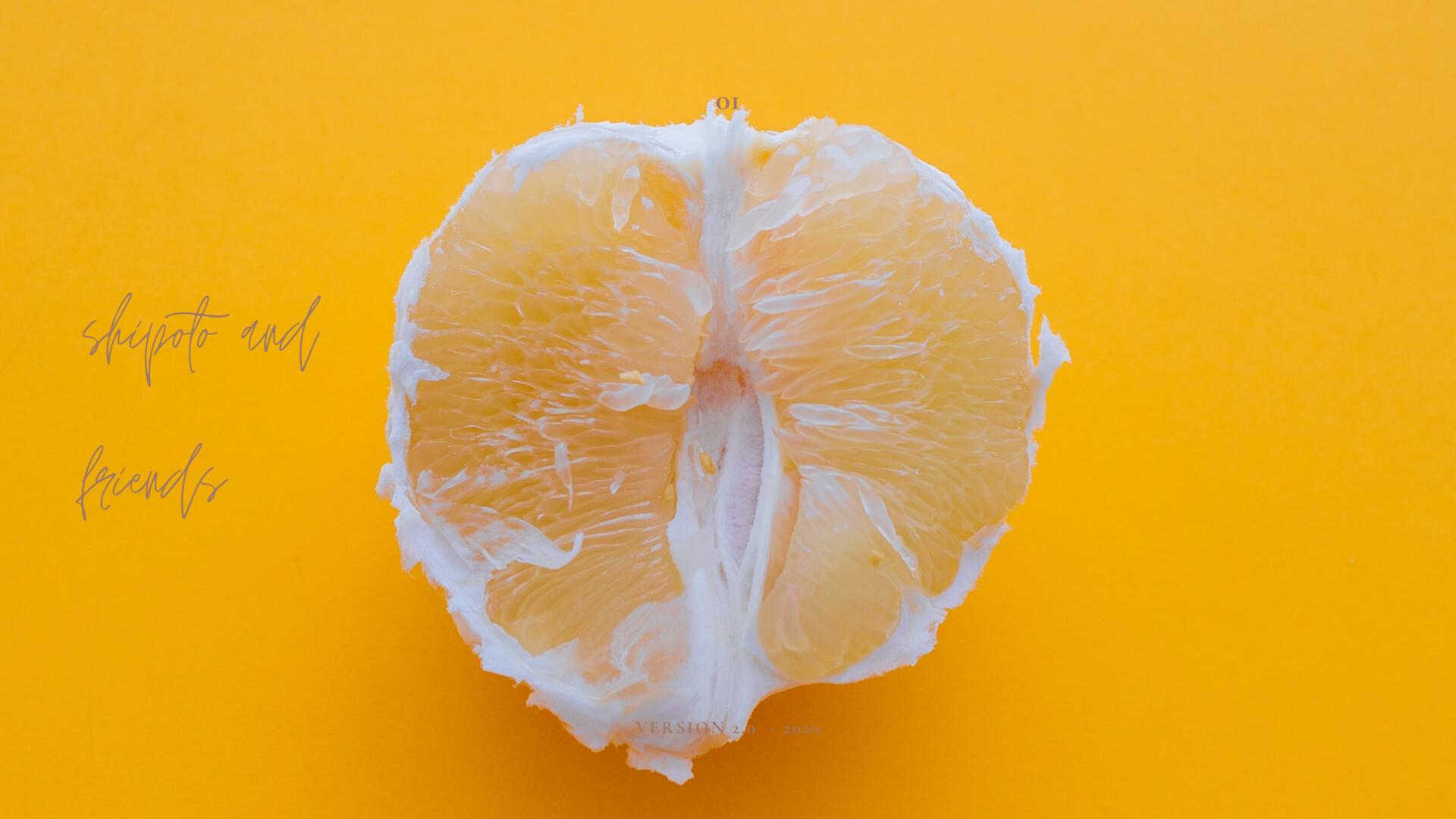 poster with image of citrus fruit titled shipoto and friends