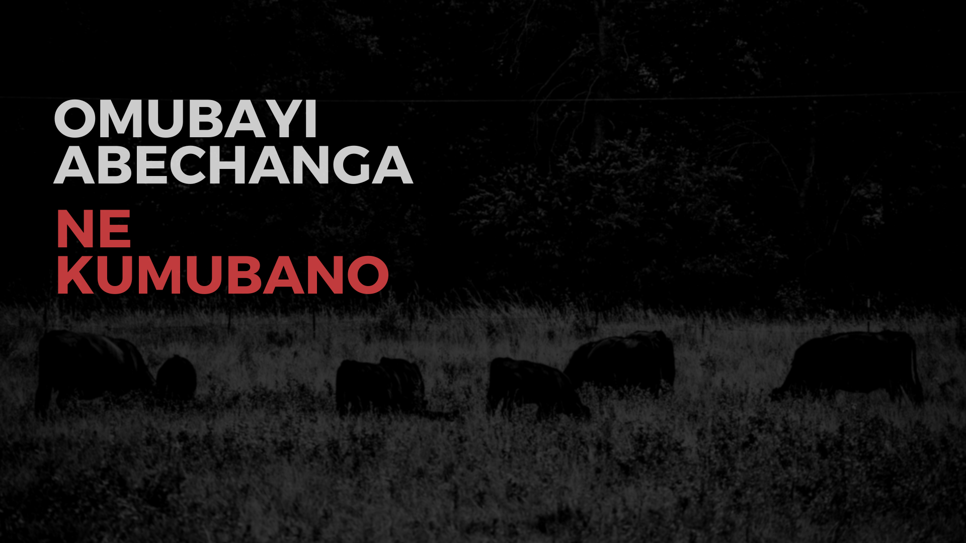 poster with animals grazing in a field titled omubayi abechanga ne kumubano