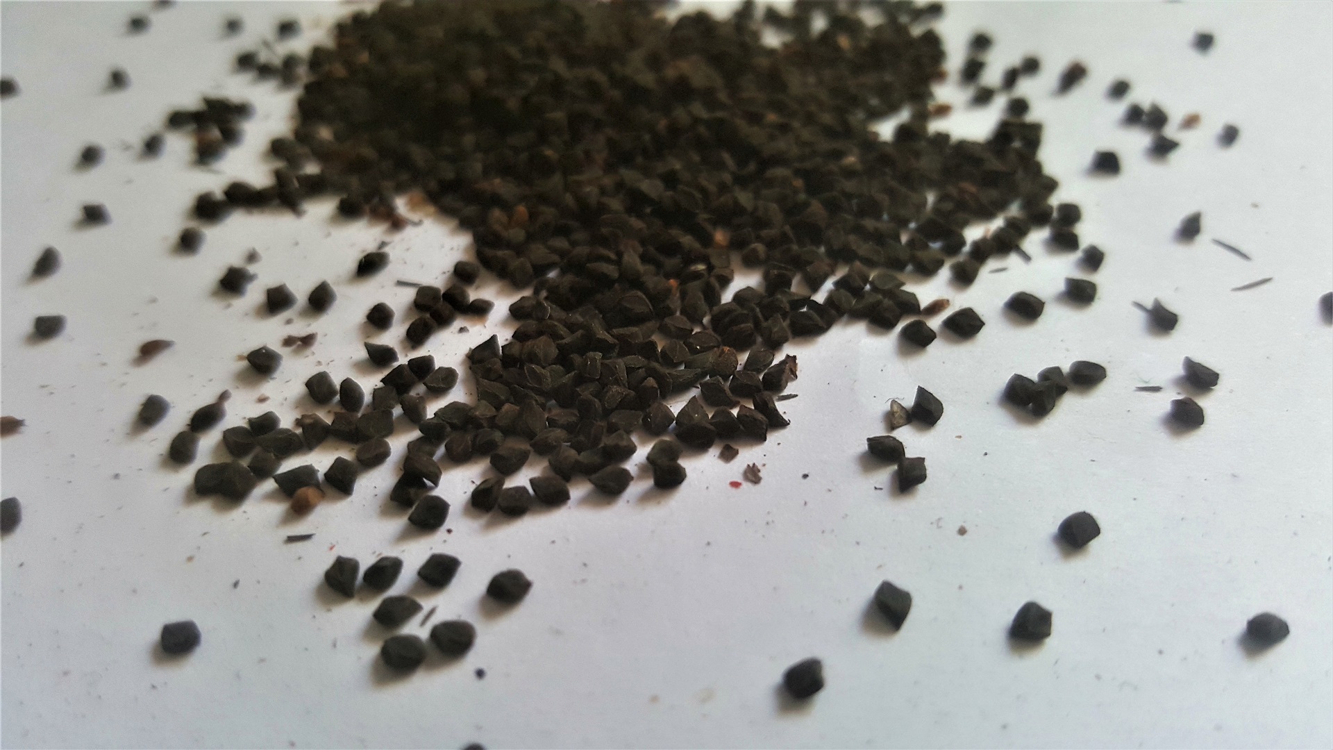 selective focus photography of the seeds of murenda