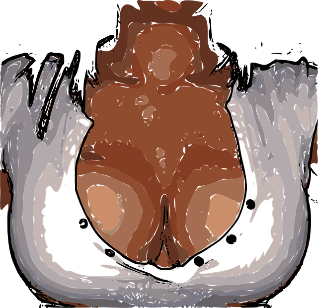 cleavage showing the breasts - known as kamaturu in bukusu