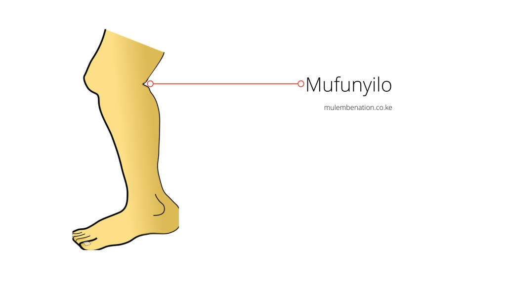 Mufunyilo - the kneepit