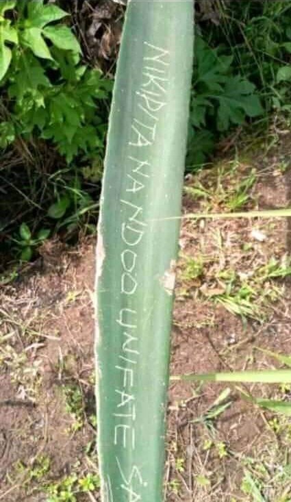 leaf of likongwe with a message inscribed 