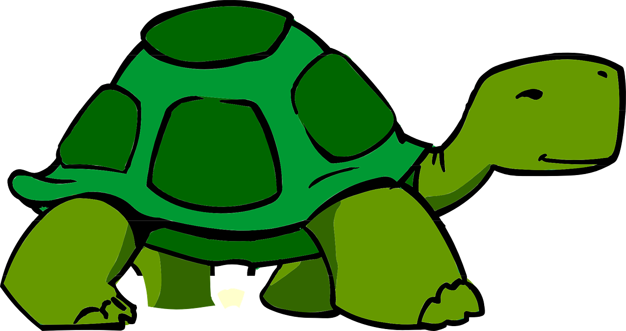 tortoise illustration in green colours