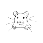 rodents in Bukusu language